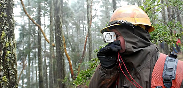 A função de silvicultor é ideal para aqueles que gostam do contato direto com a natureza