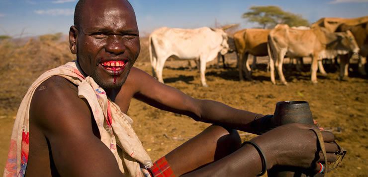 Os membros da comunidade Samburu possuem o costume de tomar sangue fresco de animais