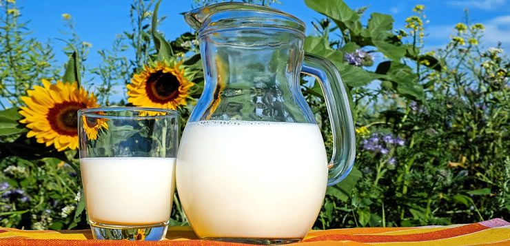 O leite e seus derivados estão entre os alimentos mais consumidos no mundo