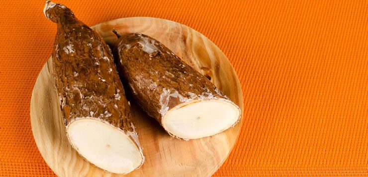 Presente em diversas culturas a mandioca é um dos alimentos mais consumidos