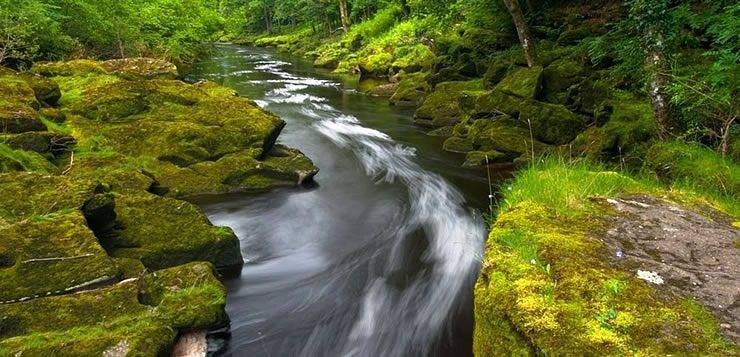 Rio Wharfe